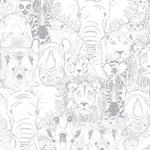Reino animal